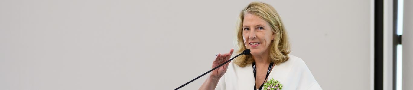 2025 Presenter speaks at the conference
