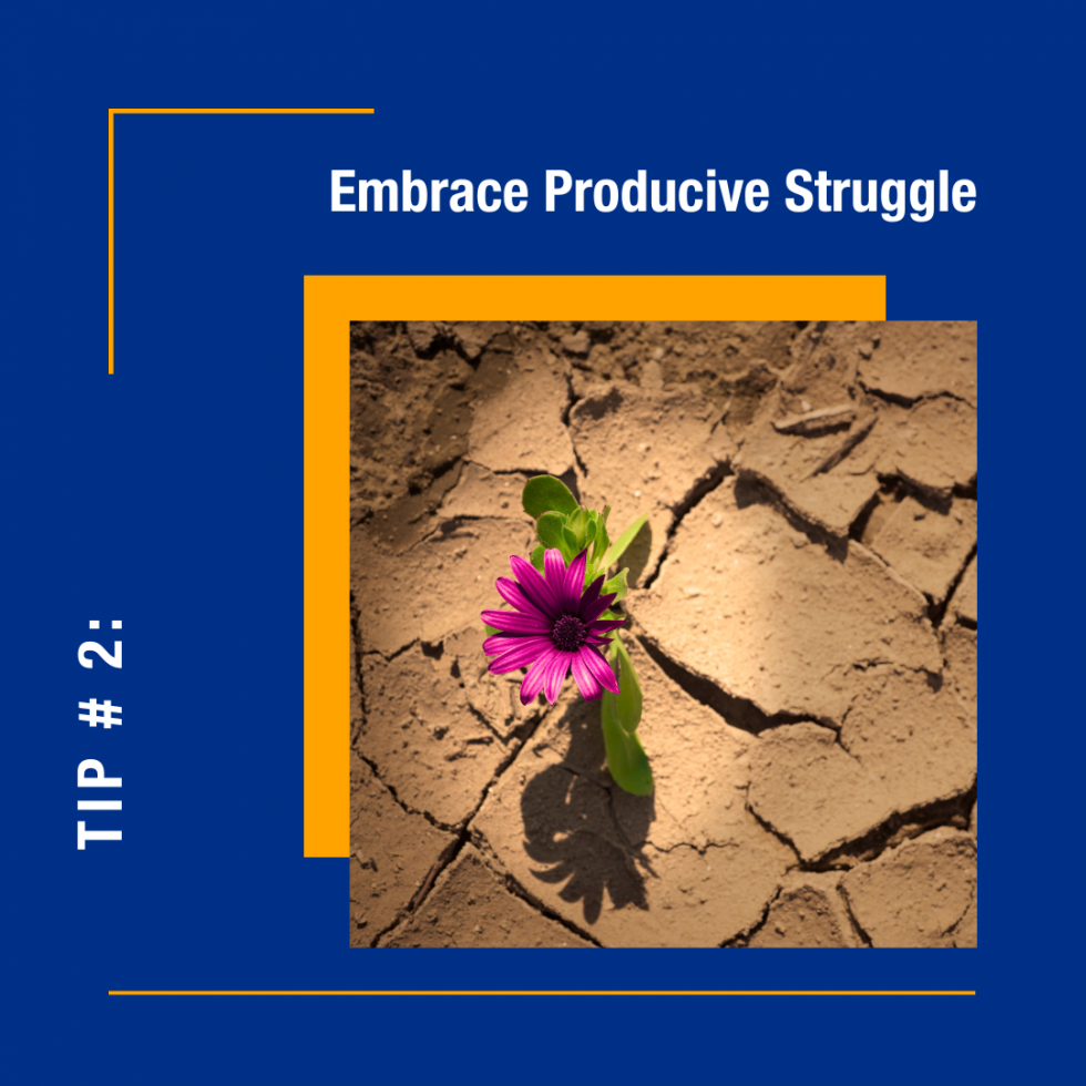 Embrace Productive Struggle