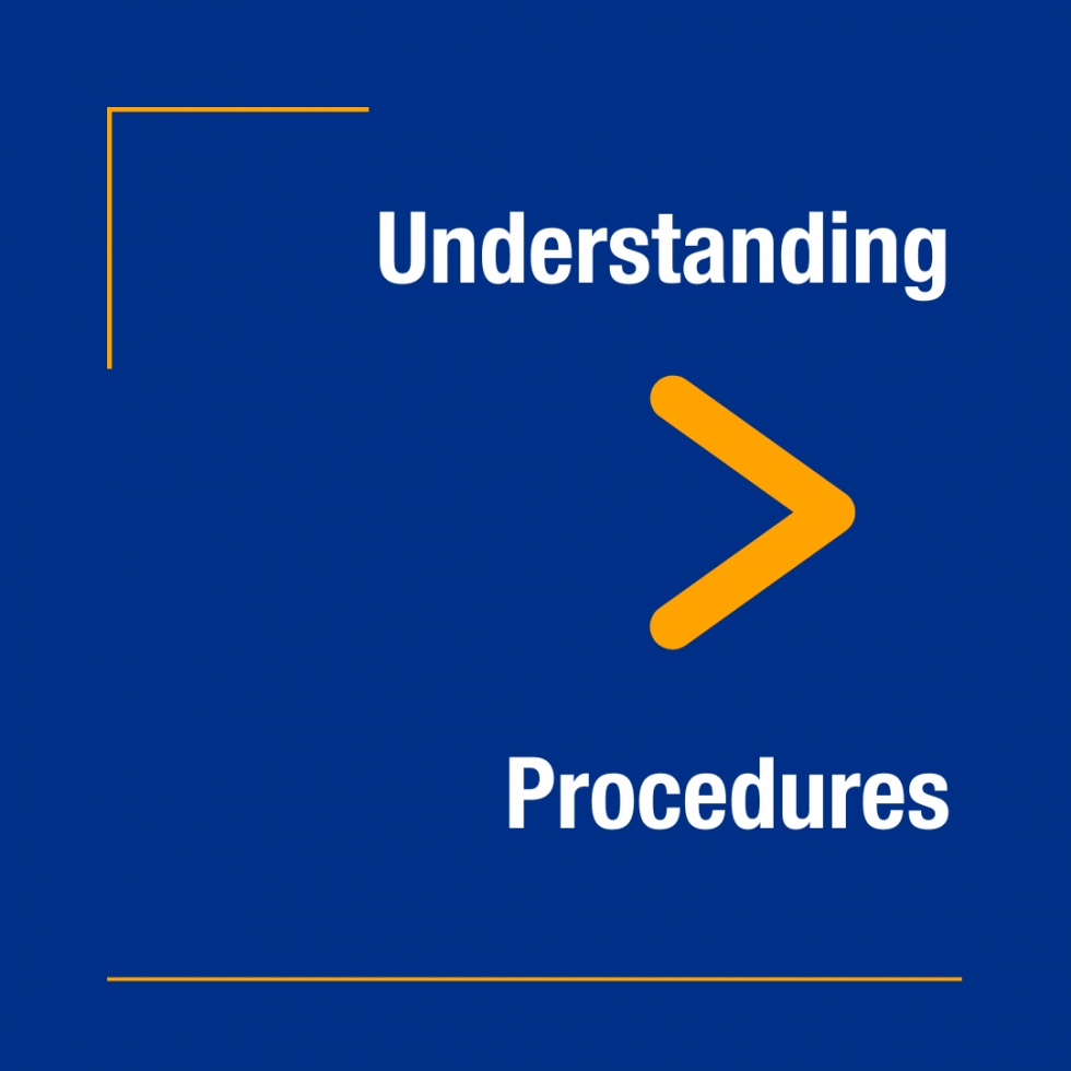 Embrace understanding over procedures
