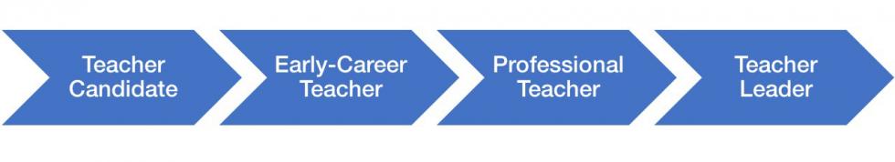 Teacher Candidate. Early Career Teacher. Professional Teacher. Teacher Leader.