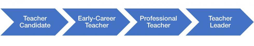 Teacher candidate > Early Career Teacher > Professional Teacher > Teacher Leader