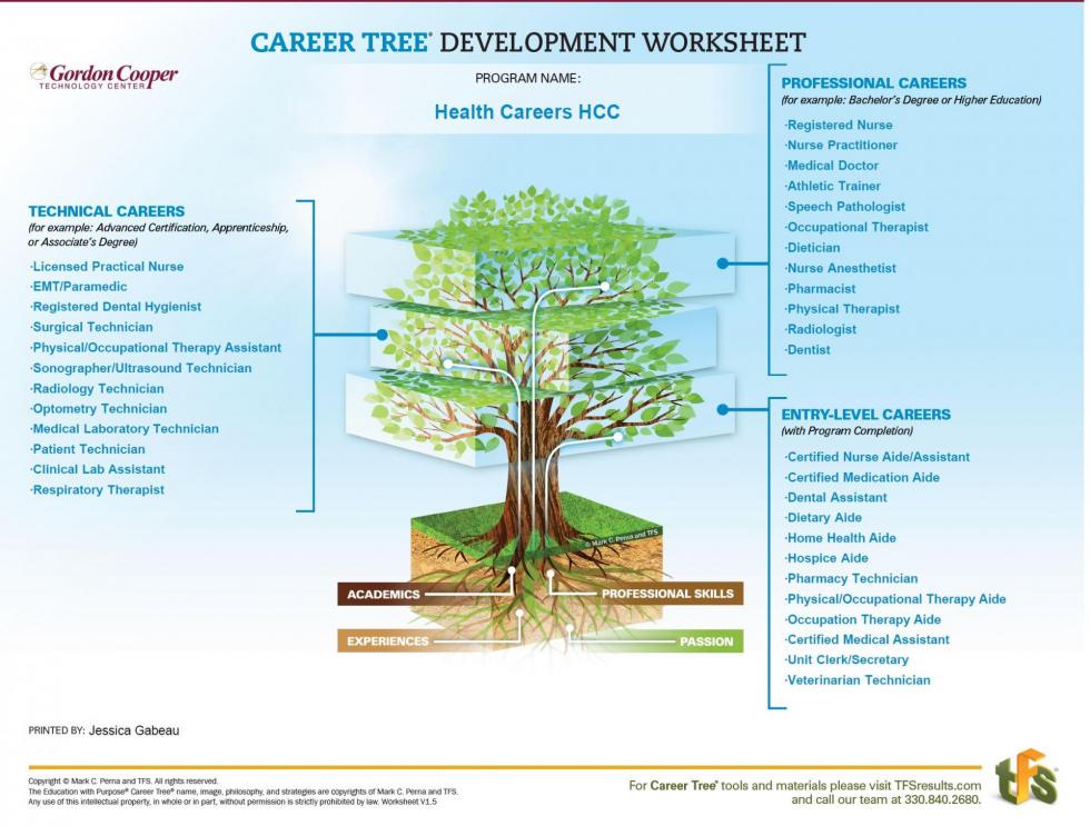 Picture of career tree