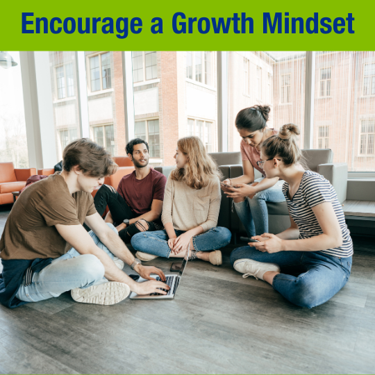 Encourage a Growth Mindset