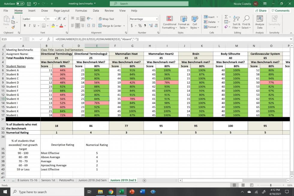 Costello’s spreadsheet cells turn green, pink or red, signaling students who may need help – or a change in her instruction.