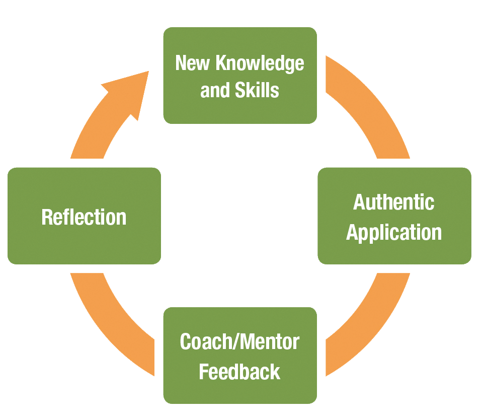 LCLP's Leadership Learning Cycle: New Knowledge and Skills, Authentic Application, Coach/Mentor - Feedback, Reflection