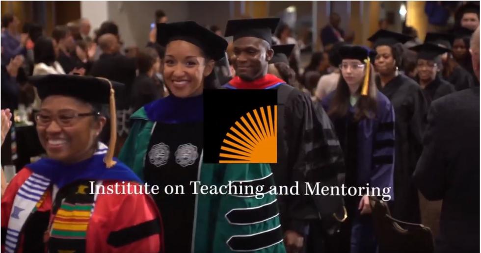 Institute on Teaching and Mentoring