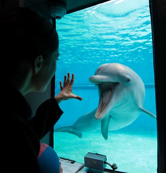 National Aquarium